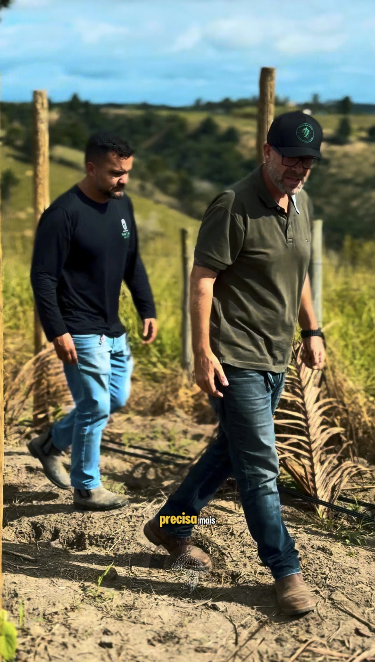 Experiência prática da Erasmo Agro no campo — imagem 25 de 38